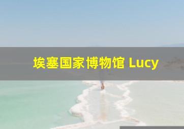 埃塞国家博物馆 Lucy